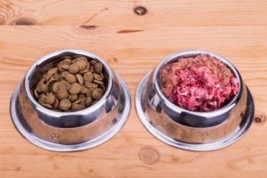 Raw Dog Food Is More Digestible Than Kibble