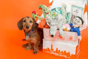 ShaggySwag Dog Subscription Box