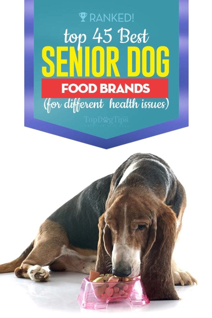 The 45 Best Senior Dog Food Brands of 2020