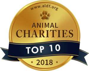 Top 10 Animal Charities - Animal Legal Defense Fund