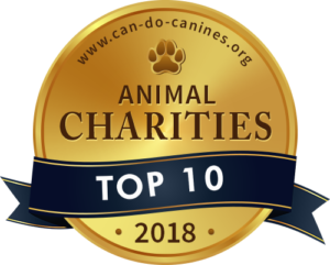 Top 10 Animal Charities - Can Do Canines