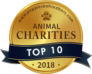 Top 10 Animal Charities - Puppies Behind Bars