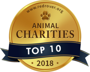 Top 10 Animal Charities - RedRover