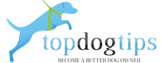 Top Dog Tips - Dog Food Recipes, Care Tips & Best Dog Supplies Reviews