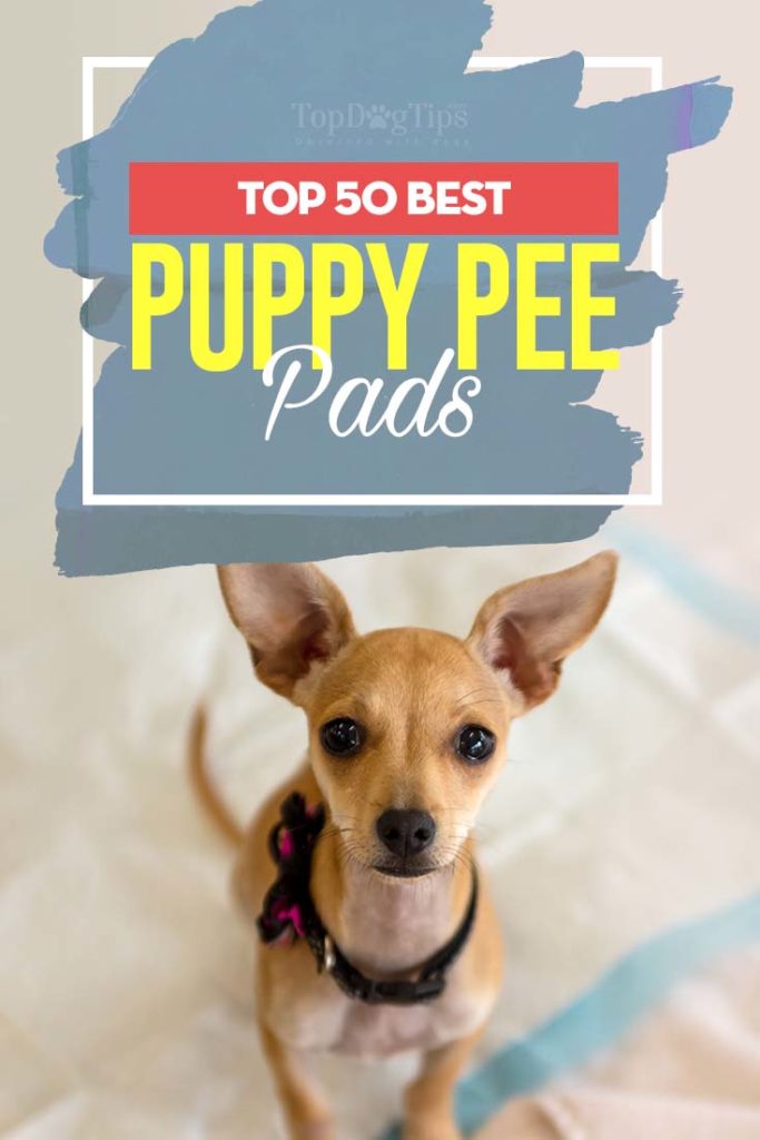 Top Rated Best Puppy Pee Pads