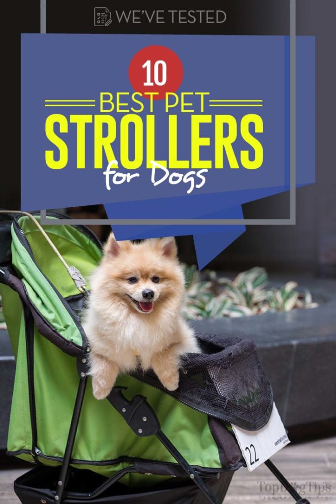 10 Top Rated Best Dog Stroller Choices