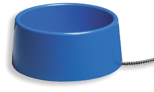 Heated pet water bowl to prevent their water from freezing or being too cold