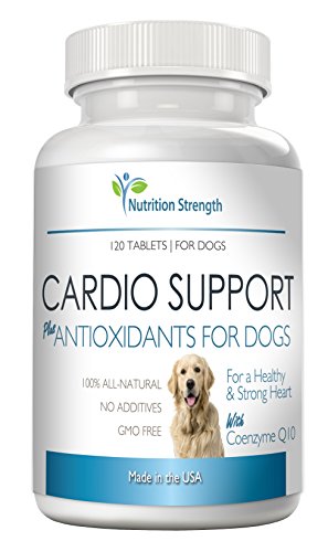 L-carnitine antioxidant supplement for dogs