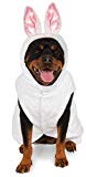 Big Dog Boutique Bunny Hoodie