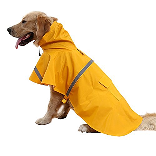 Buy a dog poncho raincoat for snowfall