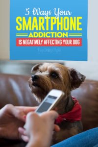 5 Ways Your Smartphone Addiction Is Negatively Affecting Your Dog