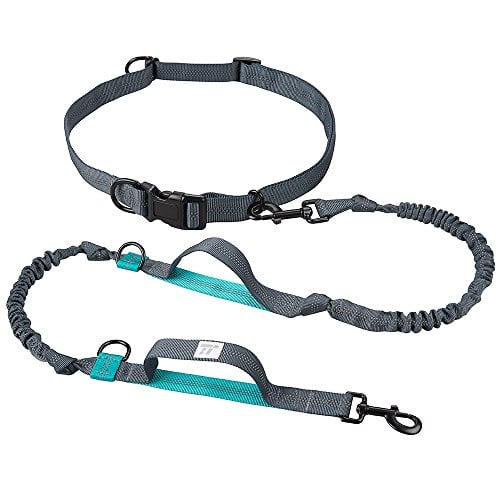 hands-free dog walking supplies giveaway