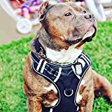 Big Dog No Pull Easy Control Harness for Large Dogs