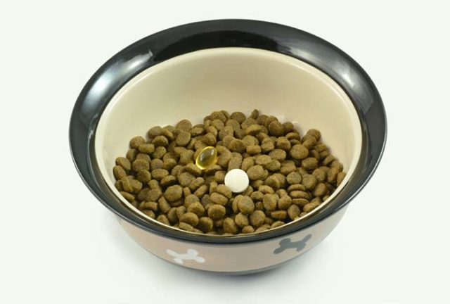 8 Best Dog Supplements for Weight Loss