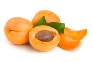 Apricots for dogs