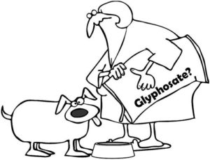 Detection of glyphosate residues in companion animal feeds