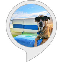 Dog Summer Safety Tips Alexa Skill