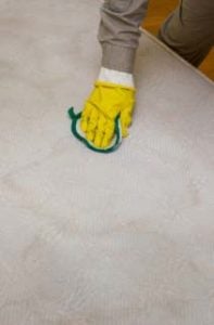 Dry the Area of Dog Pee on Mattress