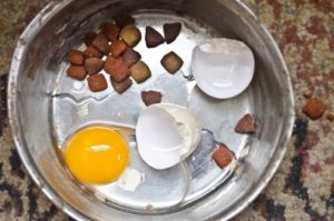 Eggs for dogs are one of the most nutritious human foods (raw or cooked)