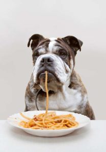 Grains for dogs (like bread and pasta) are fine to eat as long as there are no additives