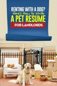 How to Write a Pet Resume for Landlords