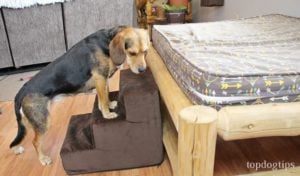 Majestic Pet Products Pet Stairs Review