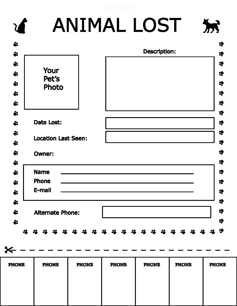 Detailed Missing Dog Flyer - Top Dog Tips