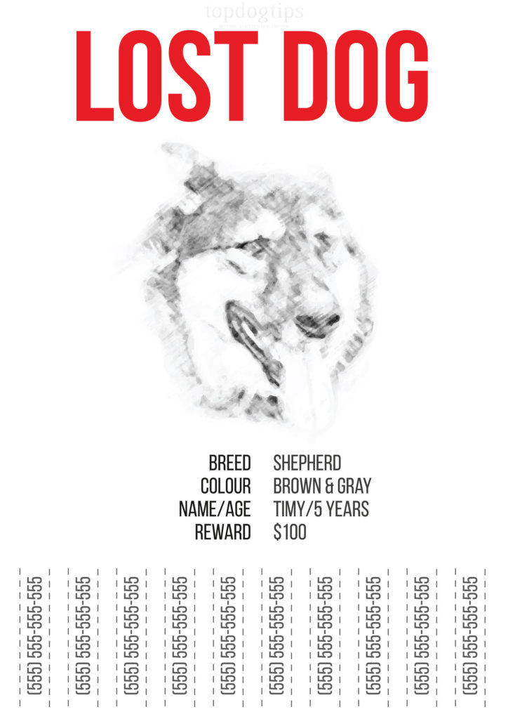 Missing Dog Flyer - Top Dog Tips