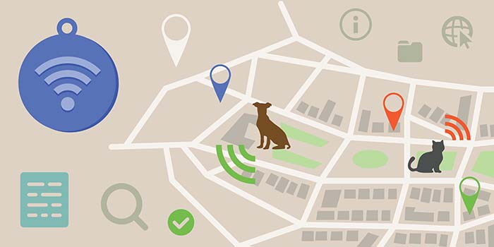 Missing Dog GPS Tracker