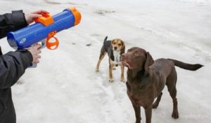 Nerf Dog Tennis Ball Blaster Launcher Review