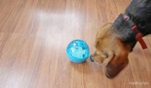 Our Pets IQ Treat Ball