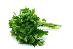 Parsley for dogs