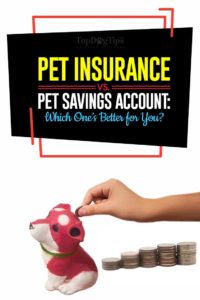 Pet Insurance vs Pet Savings Account - Which One’s Better for You