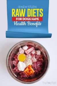 Raw Diets for Dogs Have Health Benefits - New Study Finds