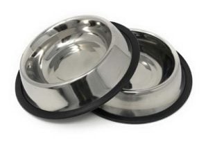 Stainless steel dog bowls are considered the best