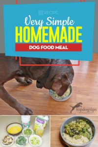 Super Simple Homemade Dog Food Recipe