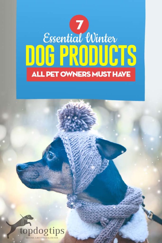 The 7 Essential Winter Dog Products to Start Shopping for Right Now