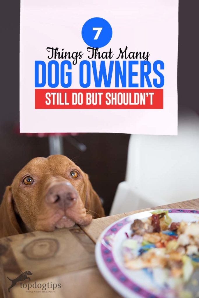 The 7 Things That Many Dog Owners Do But Shouldn’t