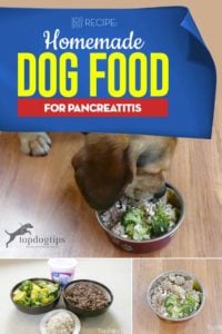 The Best Homemade Dog Food for Pancreatitis Recipe