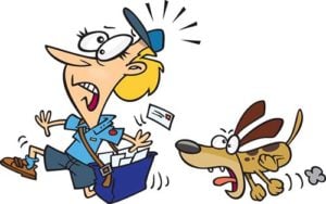 Why Do Dogs Bark at the Mailman