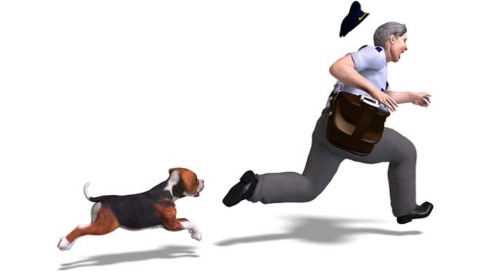 Why Do Dogs Bark at the Mailman - Here's the Answer