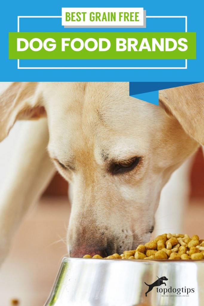 best grain free dog food brands