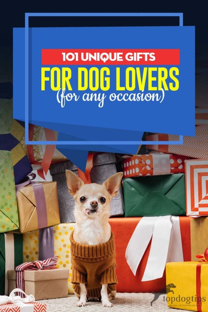 101 Best Gifts for Dog Owners in 2020