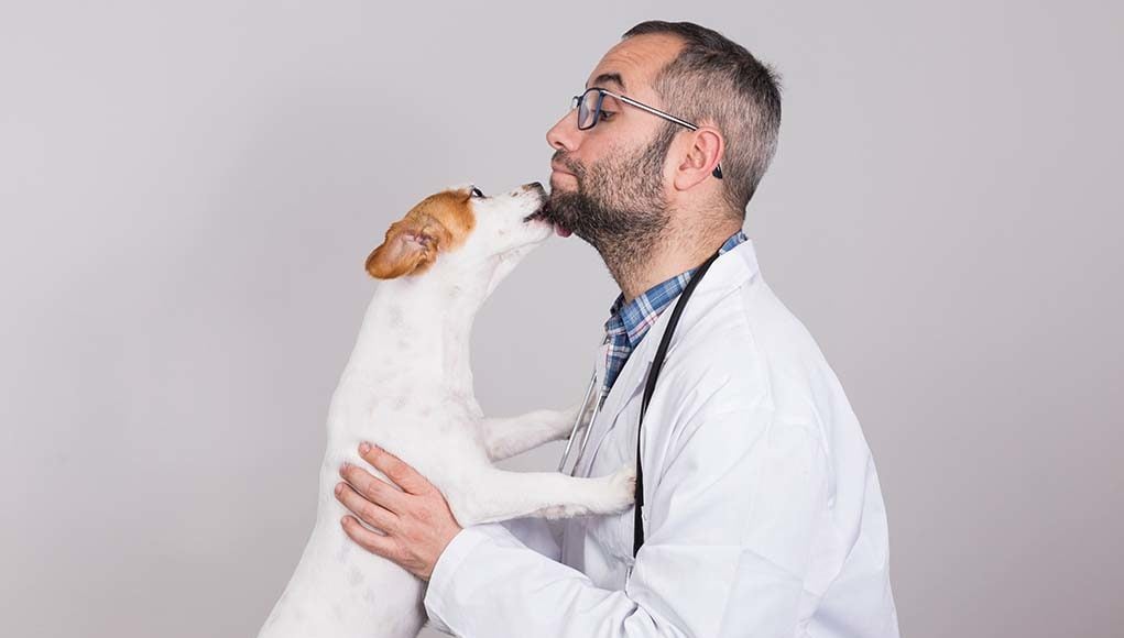 20 Proven Health Benefits of Having a Dog