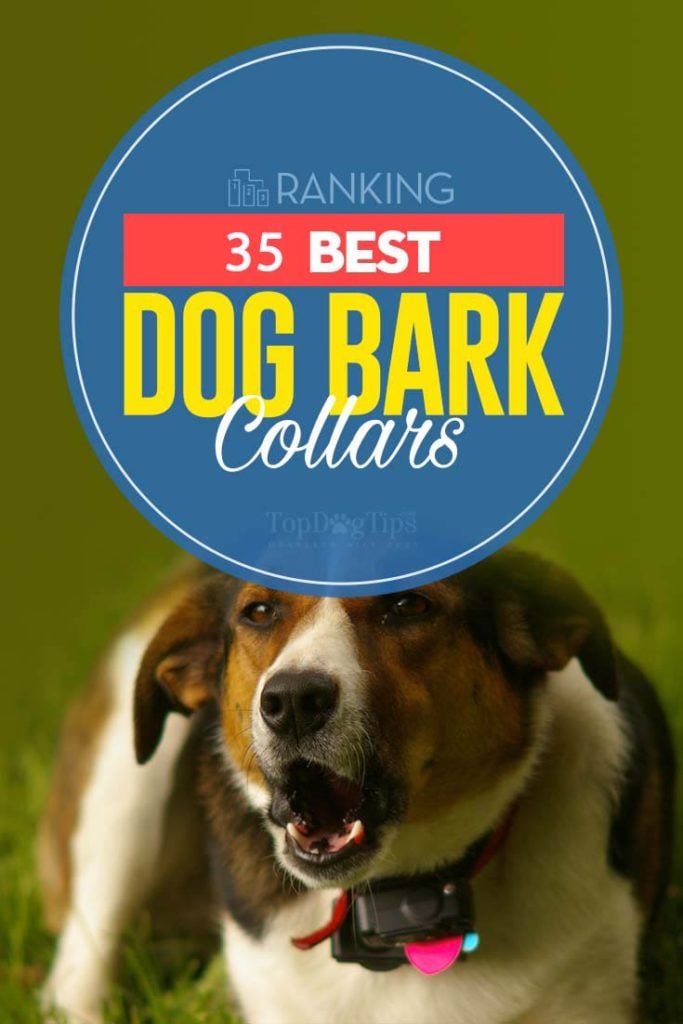 Best Dog Bark Collar Brands Ever