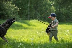 Children Do Not Know the Rules of Canine Decency