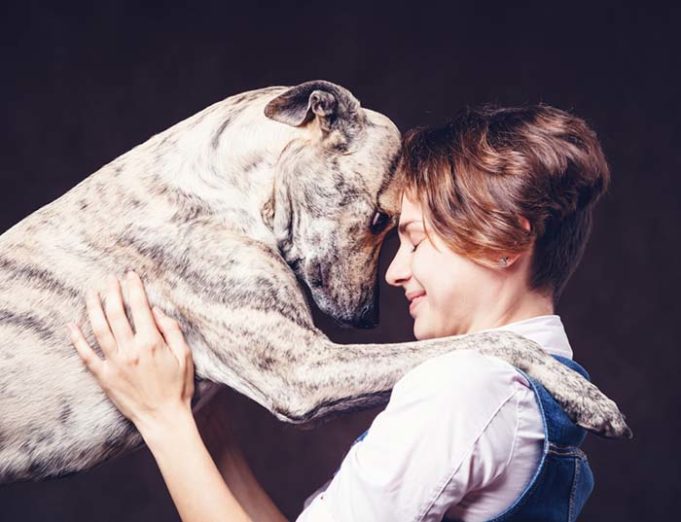 Dogs Love You More When You Smile, Science Says