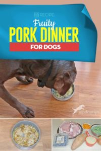 Easy-to-Make Fruity Pork Dinner for Dogs Recipe