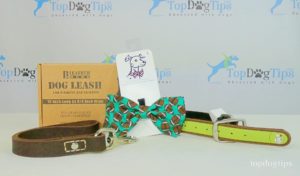 Perfect Dog Gift Giveaway