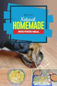 My Favorite Natural Homemade Dog Food Meal Recipe